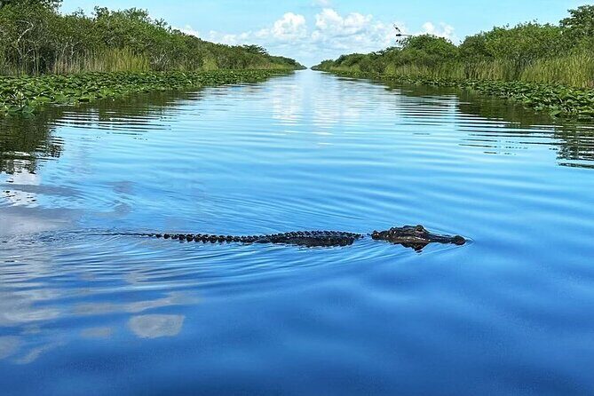 Everglades Tour from Miami with Transportation - Free Exploration and Optional Add-ons
