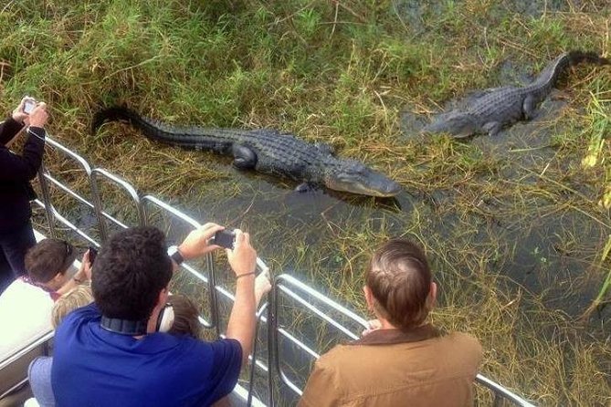 Everglades Tour in Miami - Recommended Arrival Time