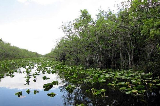 Everglades Tour in Miami - Common Questions
