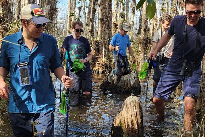 Everglades Tour w/ Biologist Led WET walk + 2 Boat Trips + Lunch! - Starting the Journey: From Miami to Big Cypress and Beyond