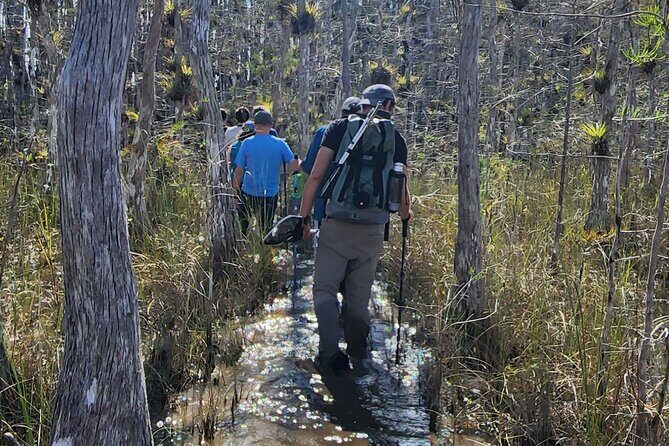 Everglades Tour w/ Biologist Led WET walk + 2 Boat Trips + Lunch! - The Wet Walk in Big Cypress National Preserve