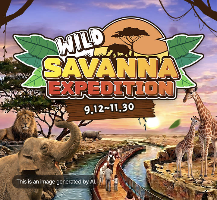 Everland Korea Ticket - Making the most of T Express and the rides