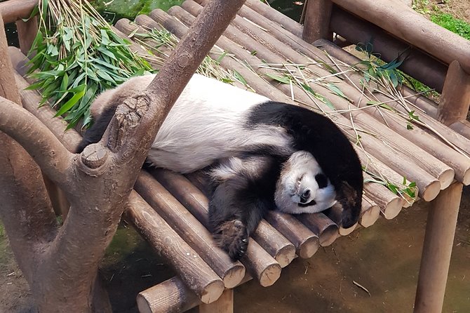 Everland or Lotte World Theme Park Day Trip From Seoul - Lowest Price Guarantee