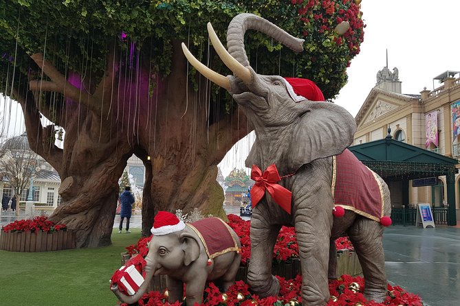 Everland Private Shuttle "Total Private Tour: More Members Less Cost" - Pricing and Cost Savings for Groups