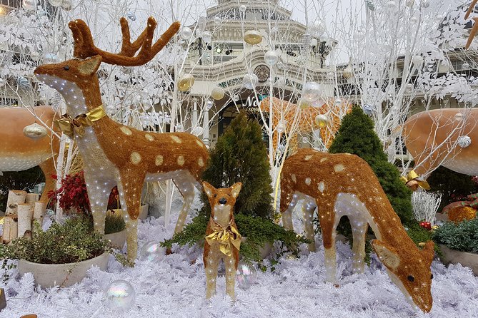 Everland Private Shuttle "Total Private Tour: More Members Less Cost" - The Sum Up