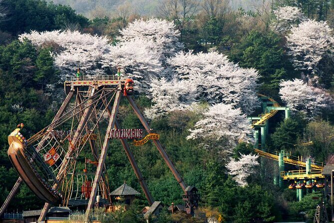 Everland Theme Park Entry Ticket - FAQ