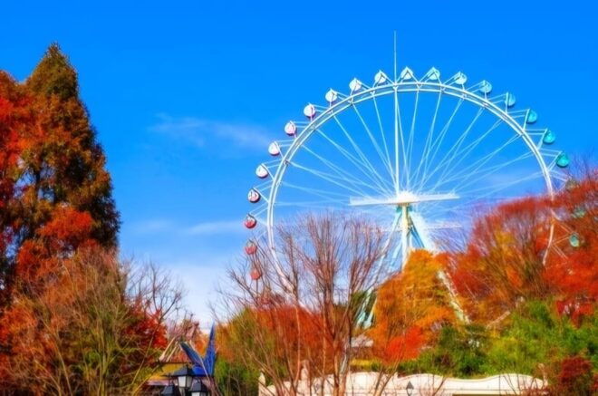 Everland Theme Park : Private Transfer(Up to 12passengers) - Transportation Features