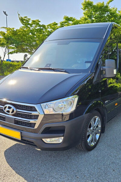 Everland Theme Park : Private Transfer(Up to 12passengers) - Tips for Visiting Everland Theme Park