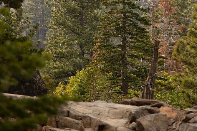 Everline Resort Explorer: Self Guided Olympic Valley Stroll - Good To Know