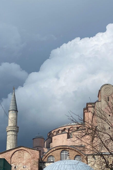 Every Saturday Daily Excursion ( French Speaking Guide ) - Inclusions