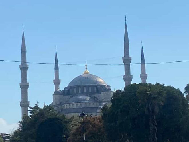 Every Saturday Daily Excursion ( French Speaking Guide ) - Pickup and Drop-off