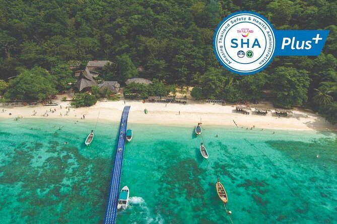 Everyday Banana Beach - The Sum Up