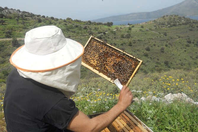 Evia Beekeeping Experience From a Local Beekeeper in Konistres - Exploring the Beehives of Konistres