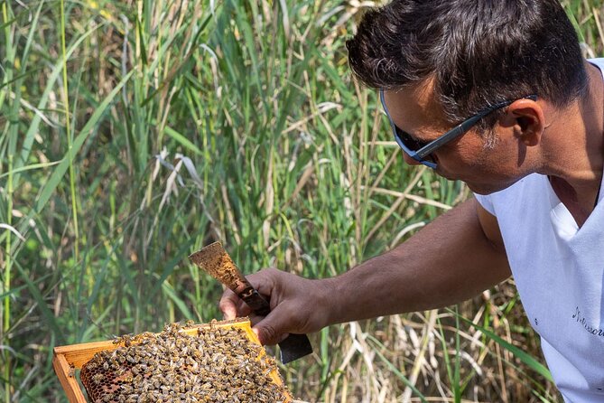 Evia Beekeeping Experience From a Local Beekeeper in Konistres - Honey Tasting and Sampling in an Authentic Setting