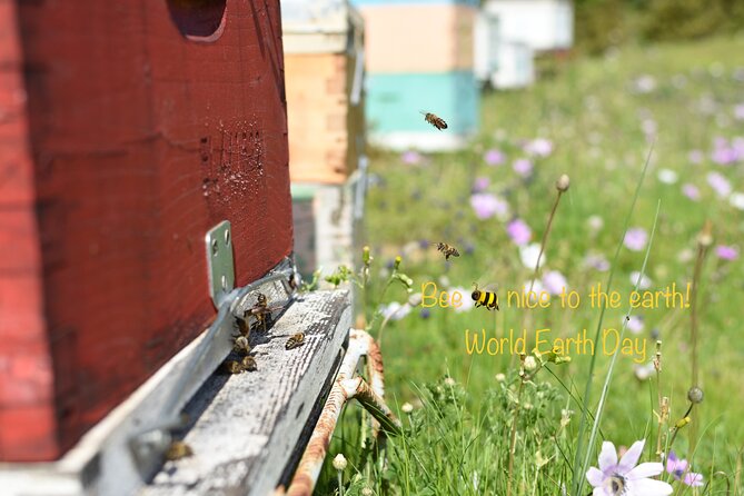 Evia Beekeeping Experience From a Local Beekeeper in Konistres - Sustainable Beekeeping Practices in Konistres