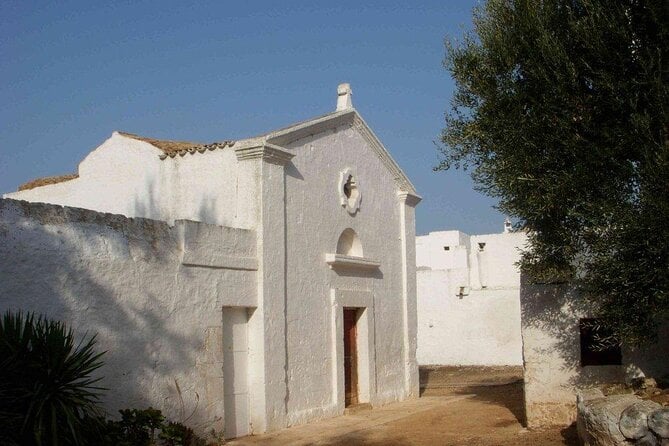 EVO Oil Tasting at a Masseria in Ostuni - Masseria Location and Setting