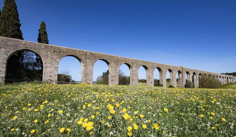 Evora Ancient City & The Alentejo Private Luxury Wine Tour - Visiting the Wine Region: A Taste of Alentejo