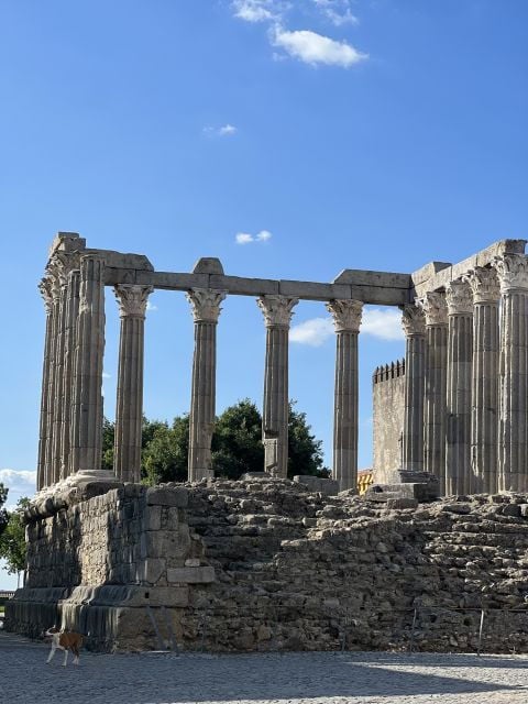 Évora: Ancient Roman Temple & King's Christ Tour - Activity Details
