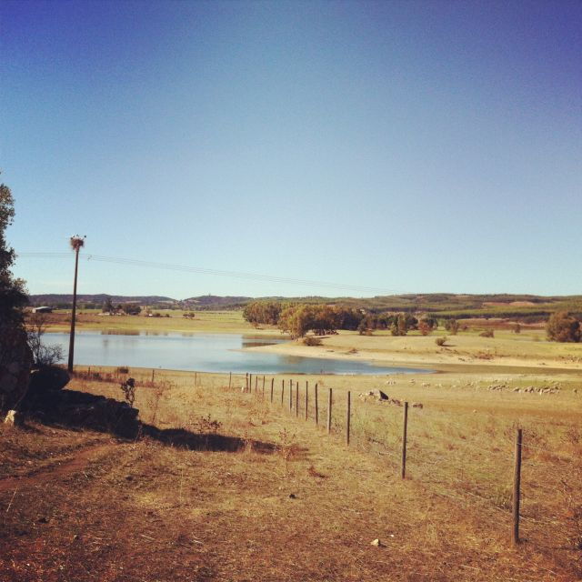 Évora and Megaliths Full-Day Tour From Lisbon - Évora City Exploration