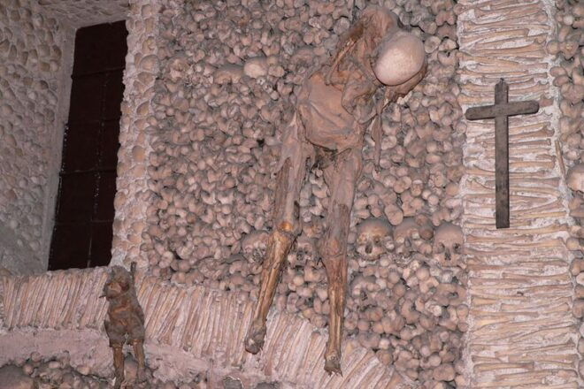 Évora and Megaliths Full-Day Tour From Lisbon - Customer Reviews and Additional Information