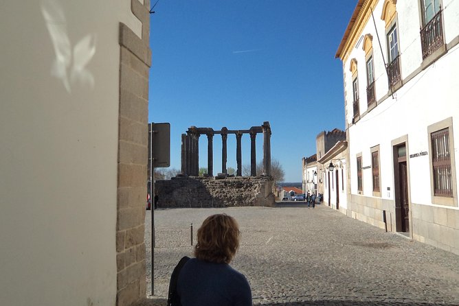 Evora and Monsaraz Full Day Private Tour From Lisbon - What to Expect