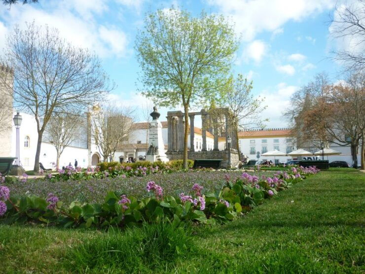 Evora and Monsaraz: Wine and Gastronomy Tour - Booking Details