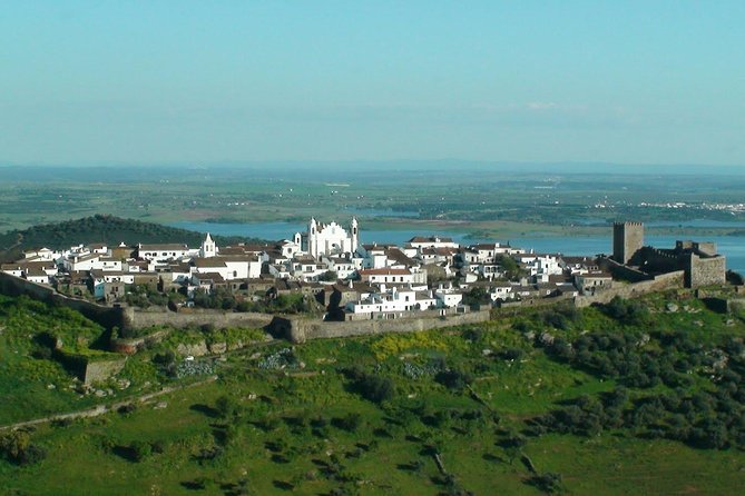 Evora and Monsaraz Wine Tasting Private Tour - Common Questions