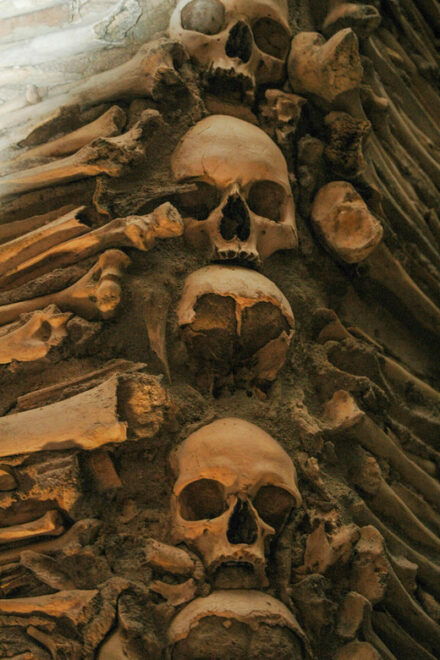 EVORA - Beyond the Tejo River - PRIVATE TOUR - Cultural Significance of Évora