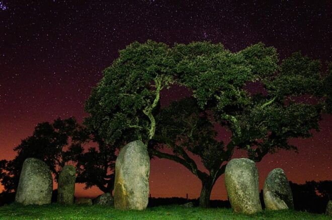 EVORA - Beyond the Tejo River - PRIVATE TOUR - Tour Inclusions