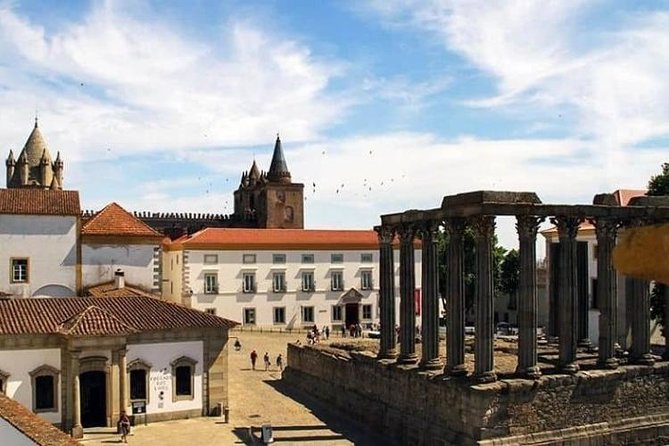 Évora Full-Day Tour With Wine Tasting From Lisbon - Vineyard Wine Tasting