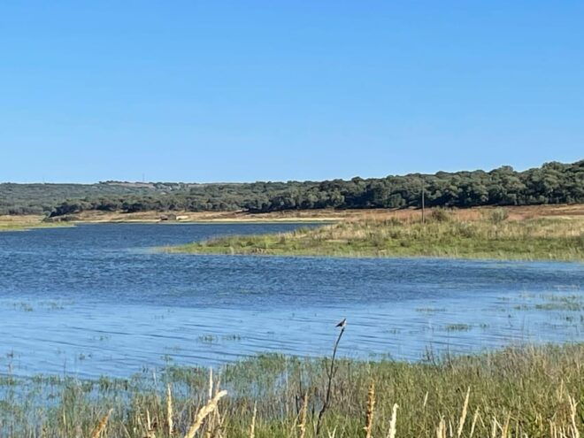 Évora: Half-Day in the Dam With Picnic and Stand-Up Paddle - Pickup and Drop-off Locations