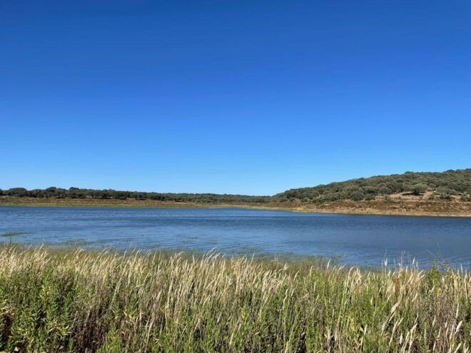 Évora: Half-Day in the Dam With Picnic and Stand-Up Paddle - Booking and Cancellation Policy