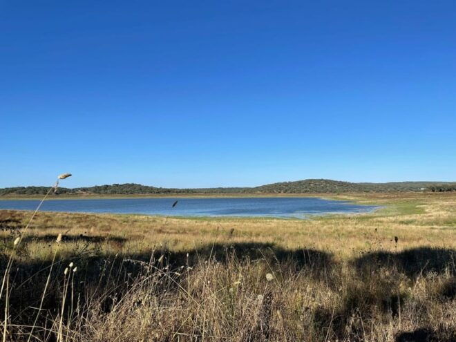 Évora: Half-Day in the Dam With Picnic and Stand-Up Paddle - Frequently Asked Questions