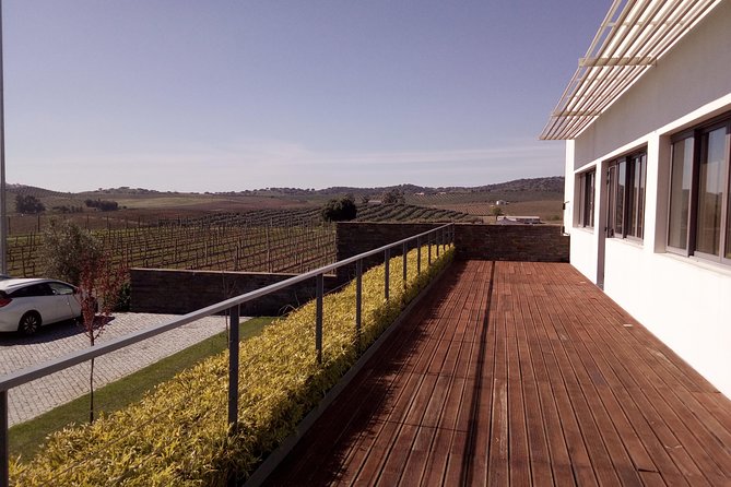 Évora - Inside the Olive Oil, Wine, and Cork Triangle (Private Tour) - Discovering the Olive Oil Heritage of Évora