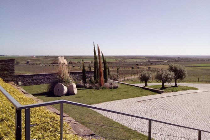 Évora - Inside the Olive Oil, Wine, and Cork Triangle (Private Tour) - Wine Tasting in the Heart of Alentejo