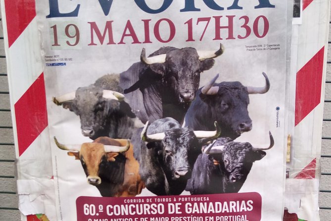 Évora - Inside the Olive Oil, Wine, and Cork Triangle (Private Tour) - The Cork Industry: Unveiling Évoras Natural Resource