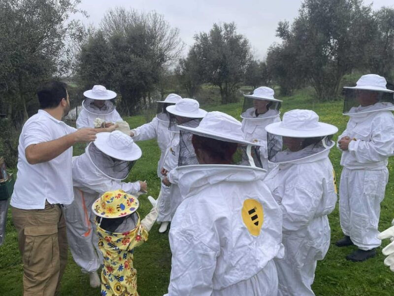 Évora or Montemor: Beekeeping, Chocolate factory, Wine tasting - Lunch Time in a Traditional Alentejo Restaurant