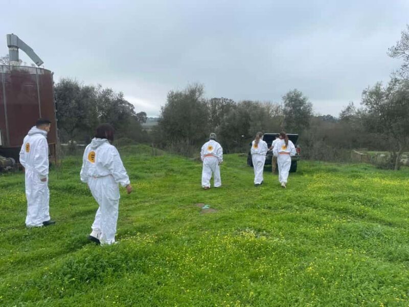 Évora or Montemor: Beekeeping Guided Tour with Honey Tasting - Frequently Asked Questions