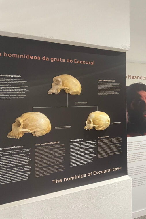 Évora or Montemor: Guided Tour of the Escoural Caves - Who Should Consider This Tour?