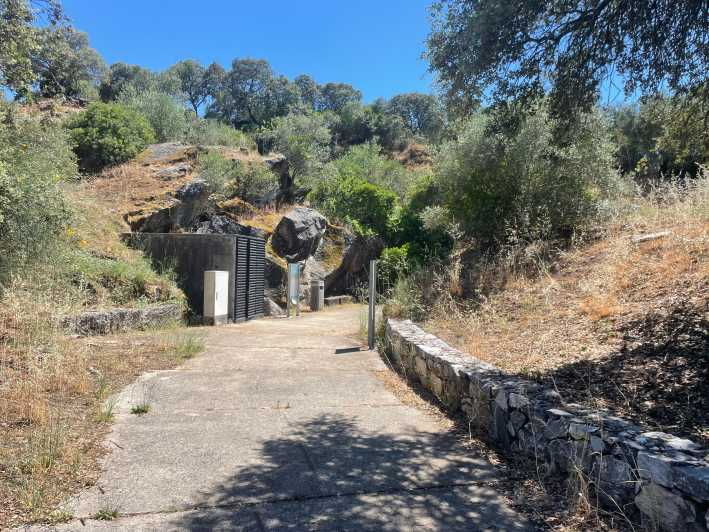Évora or Montemor: Guided Tour of the Escoural Caves - Good To Know