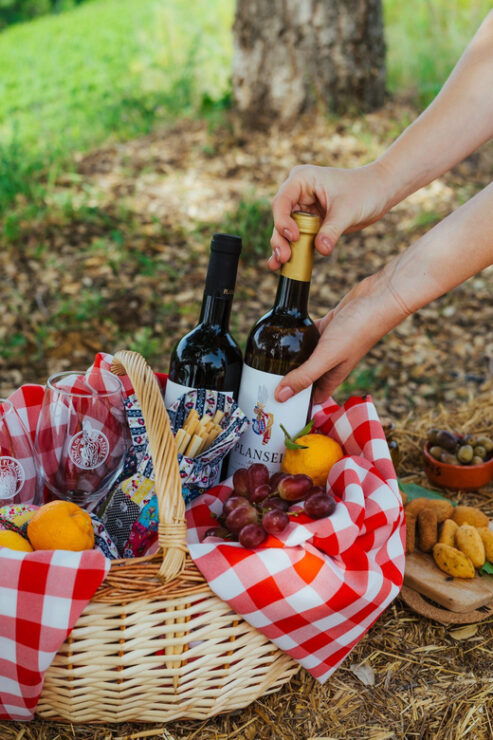Évora or Montemor: Picnic at Plansel Winery - Good To Know