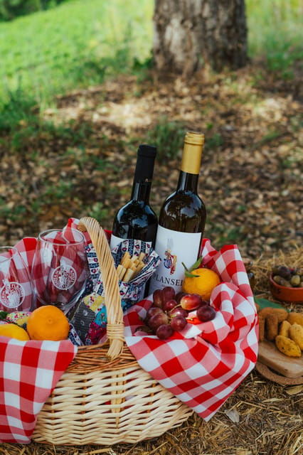 Évora or Montemor: Picnic at Plansel Winery - Setting and Atmosphere