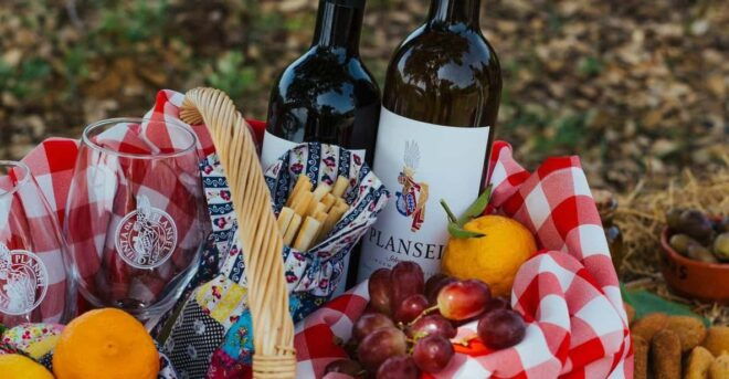 Évora or Montemor: Picnic at Plansel Winery - Booking and Flexibility