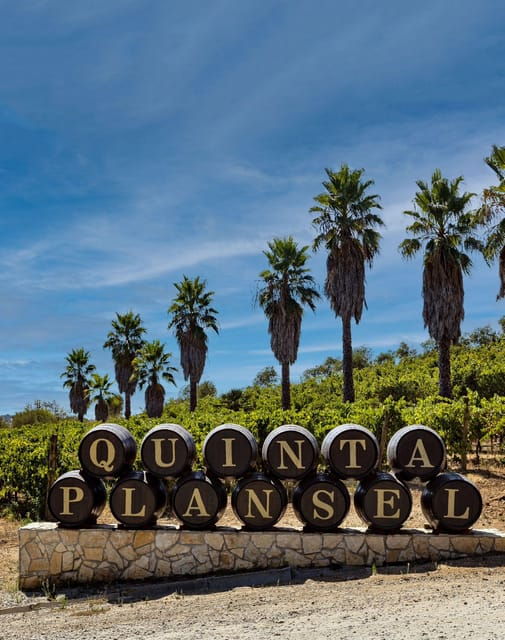 Évora or Montemor: Picnic at Plansel Winery - Highlights
