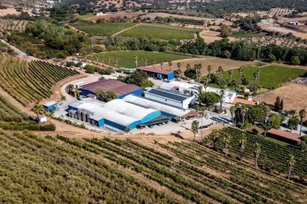Évora or Montemor: Picnic at Plansel Winery - Insider Tips