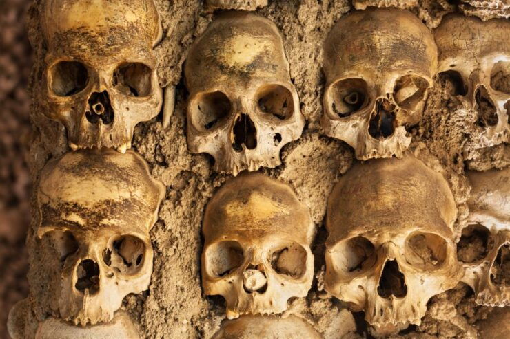 Évora Private Day Trip From Lisbon With Wine Tasting - Good To Know