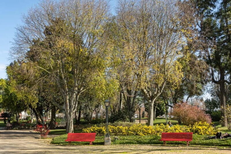Évora: Private & Flexible Walking Tour in Historic Center - Practical Considerations