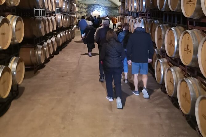 Évora Private Tour - Cork Factory and Wine Estate Included - Pricing and Booking Information