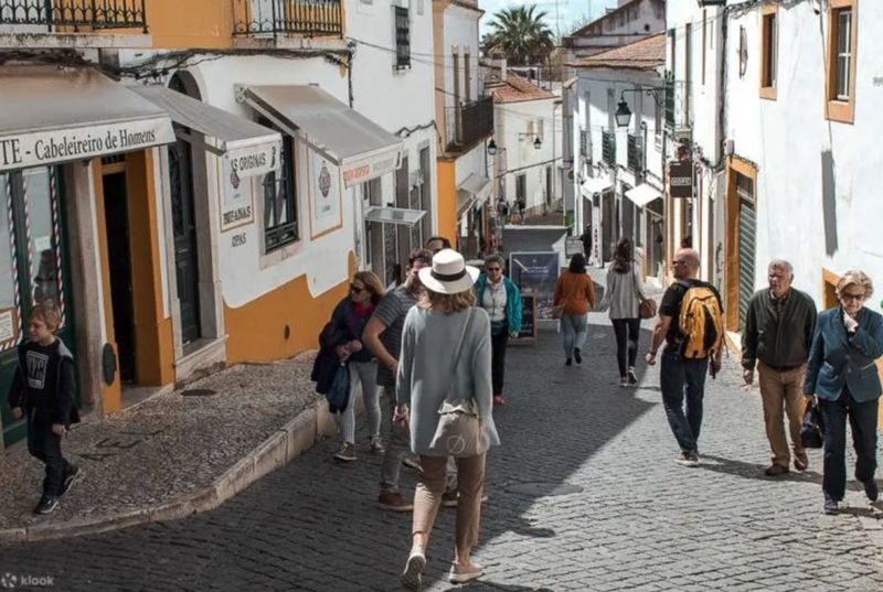 Evora Temple of Diana Full-Day Historical UNESCO Discovery - Why make a day trip to Évora?