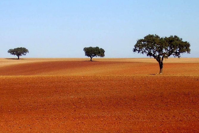 Évora Tour - the Heart of the Alentejo Region - Highlights of Évoras UNESCO World Heritage Site